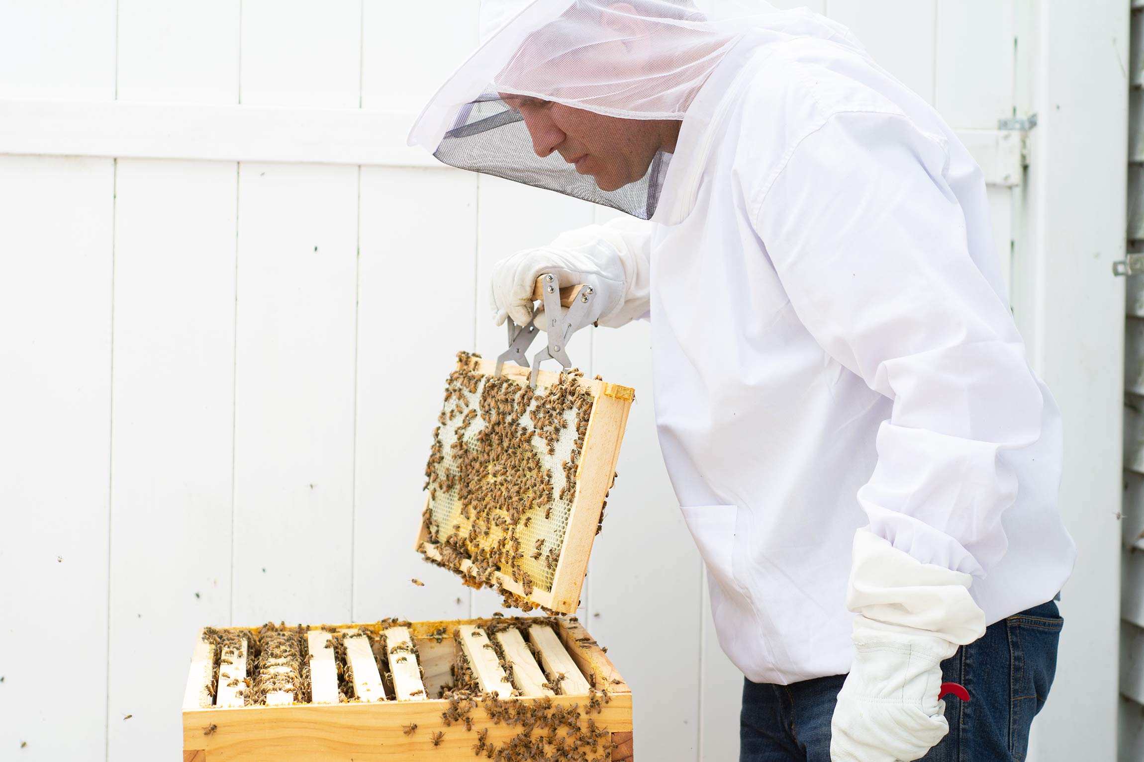 VIVO BEE-V105M cremallera-capucha para uso rápido