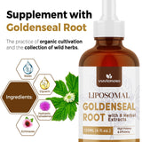 Uso sublingual de Vuvionoso Goldenseal para absorción rápida