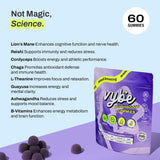 Vybe gomitas colores vibrantes reflejan sabor arándano para energía constante