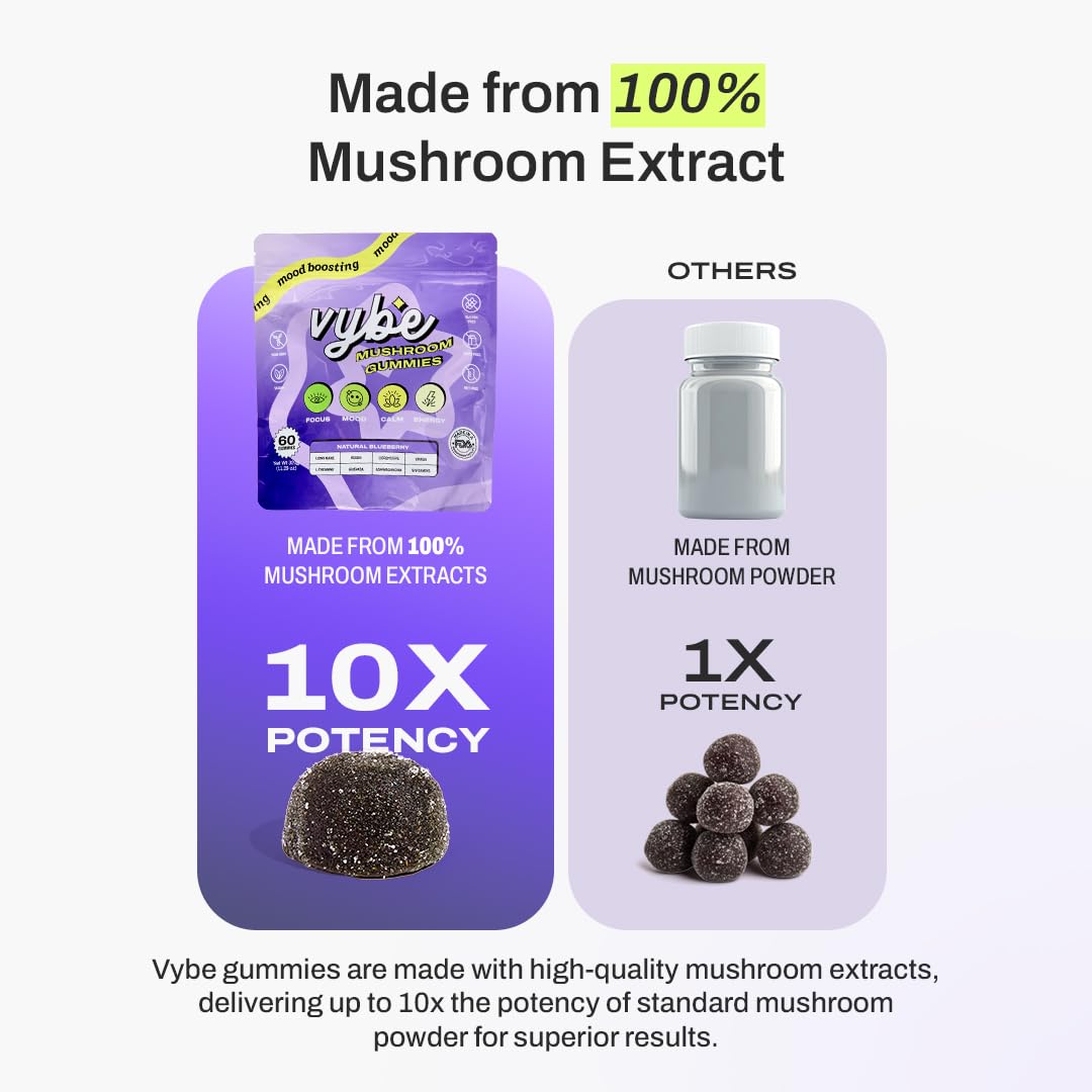 Vybe gomitas ingredientes clave Melena de León y Cordyceps para energía sostenida