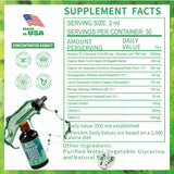 Hojas de moringa en Vyxion Guanábana para nutrición diaria