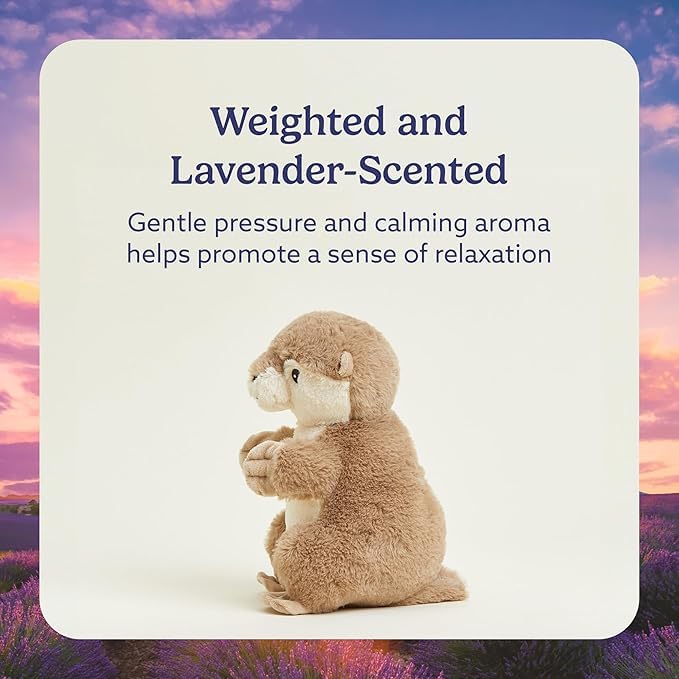 Warmies otter relleno de grano ofrece peso suave y reconfortante.