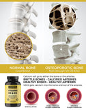 Absorción eficiente de D3 y K2 en Warrior Strong Wellness.
