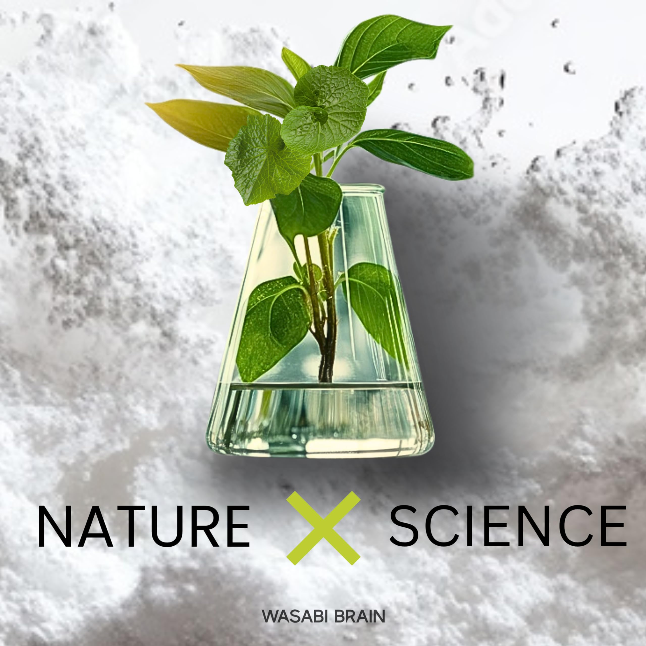 Wasabi Brain cápsulas para uso diario, rutina sencilla.