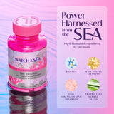 Watch & Sea ingredientes clave MSM y hierbas en primer plano.