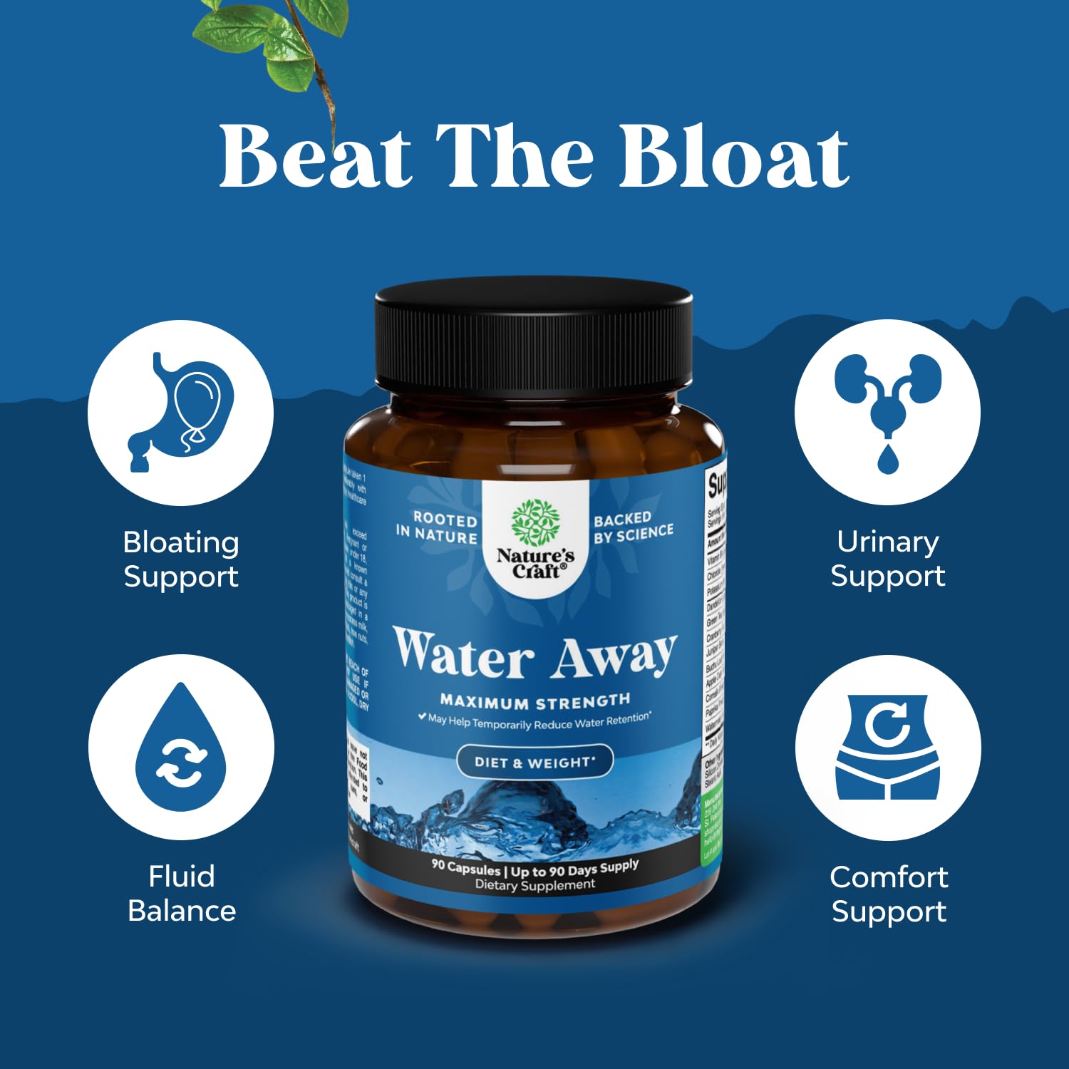 Water Away: extracto de diente de león destacado para apoyar la función renal de forma suave.