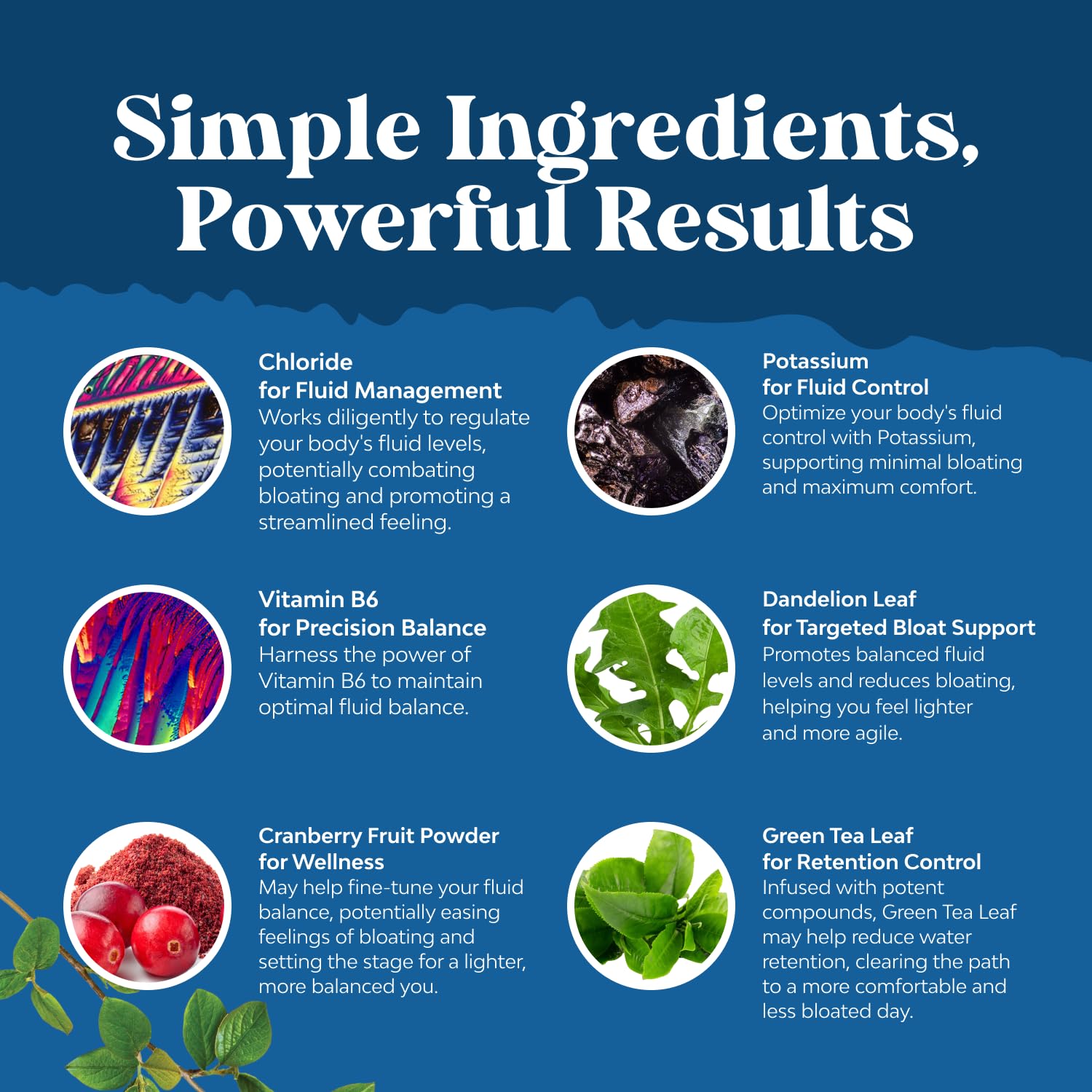 Water Away: extracto de té verde que aporta beneficios naturales para el cuerpo.