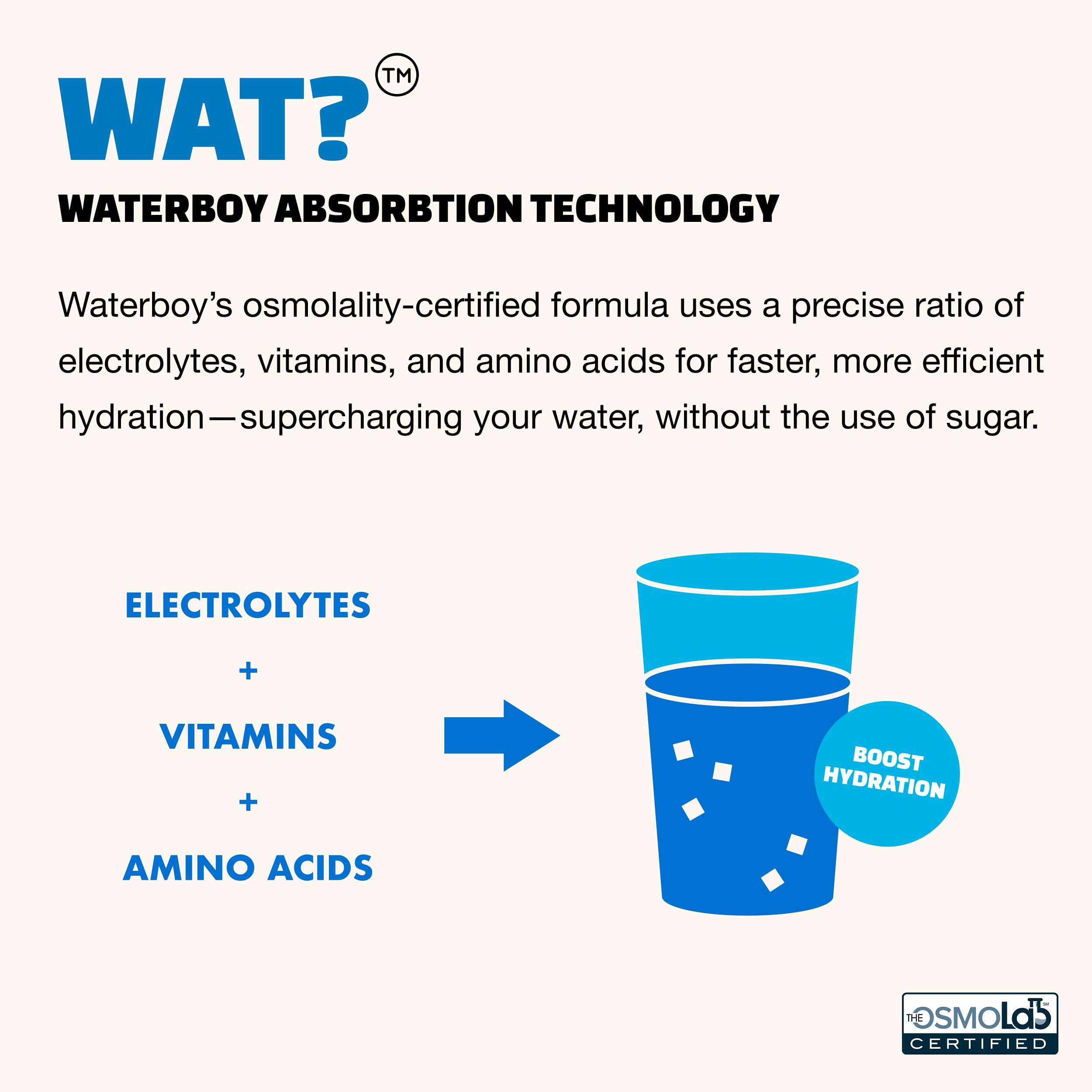 Waterboy Daily primer plano de ingredientes naturales, cero calorías