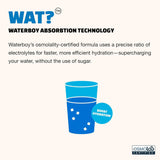 Waterboy disolucion rapida: disolución rápida en agua para consumo inmediato.