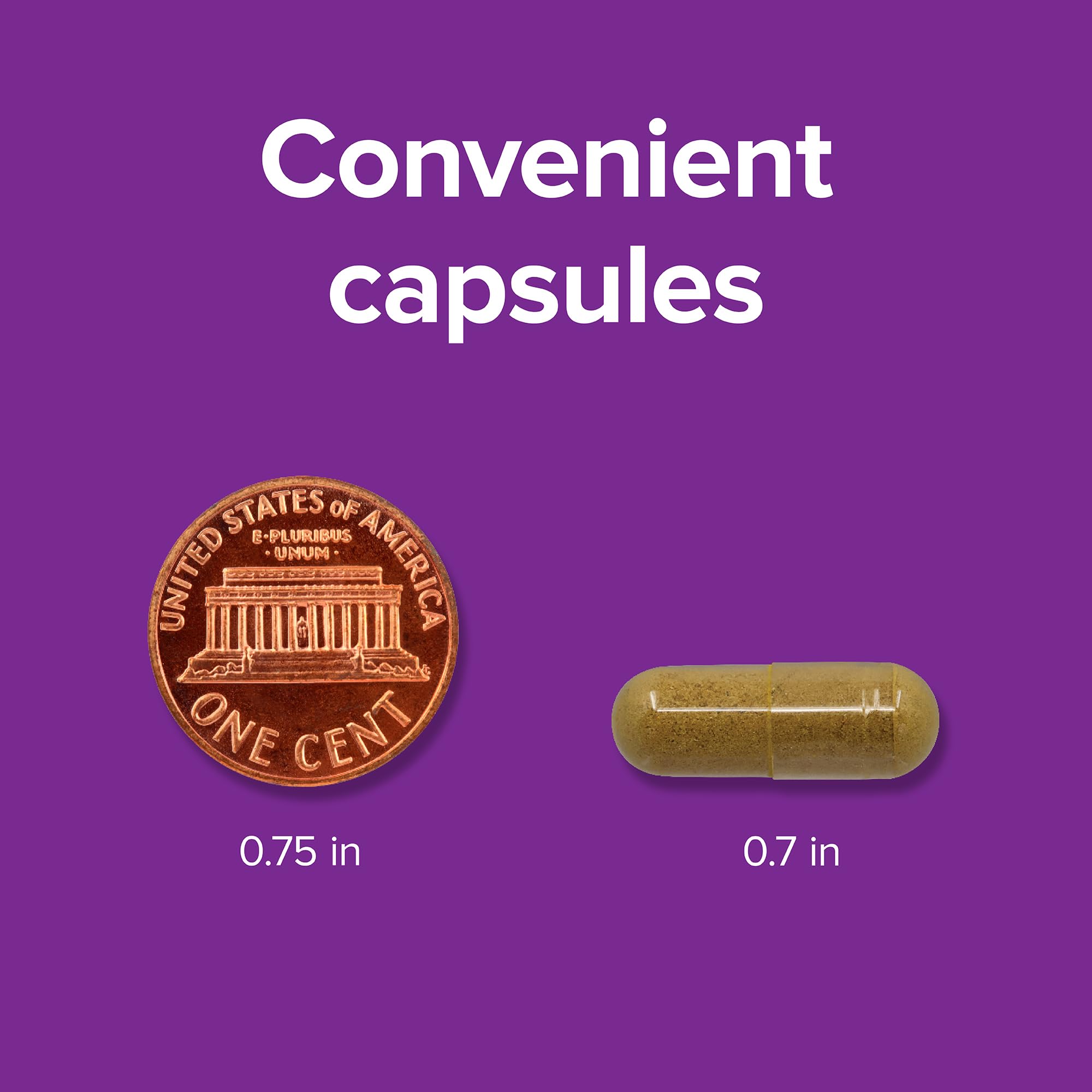 Webber Naturals Diente de León, drenaje natural suave