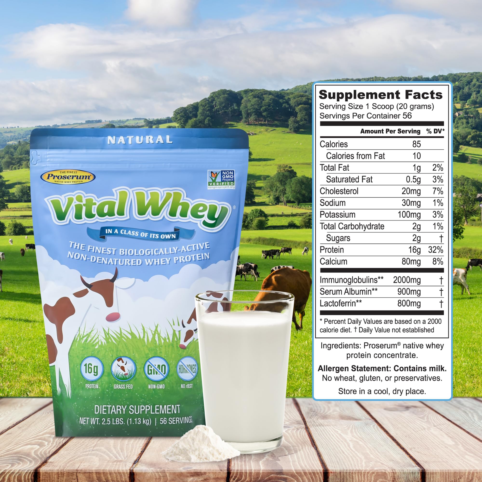 Vital Whey de Well Wisdom: leche de pasto para proteínas limpias en cualquier comida
