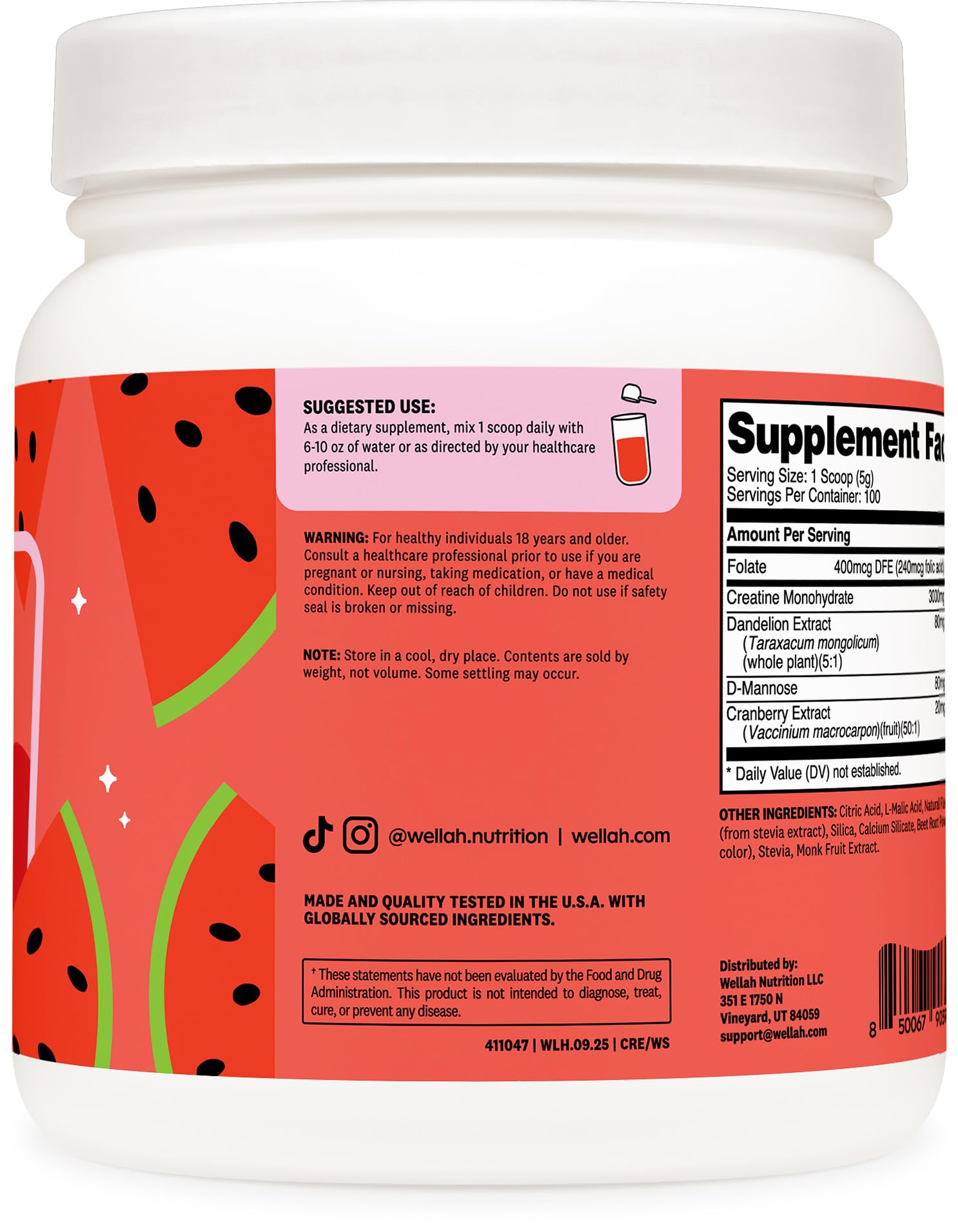 Wellah Creatine para Mujeres mezcla diente de león y arándano para energía diaria