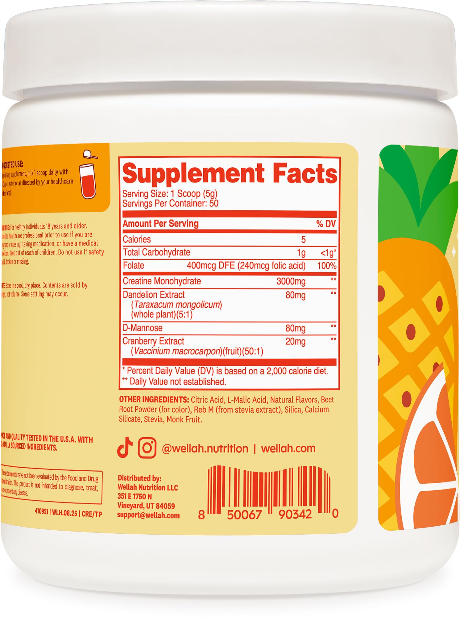 Wellah Creatine en polvo fino para batidos posentreno