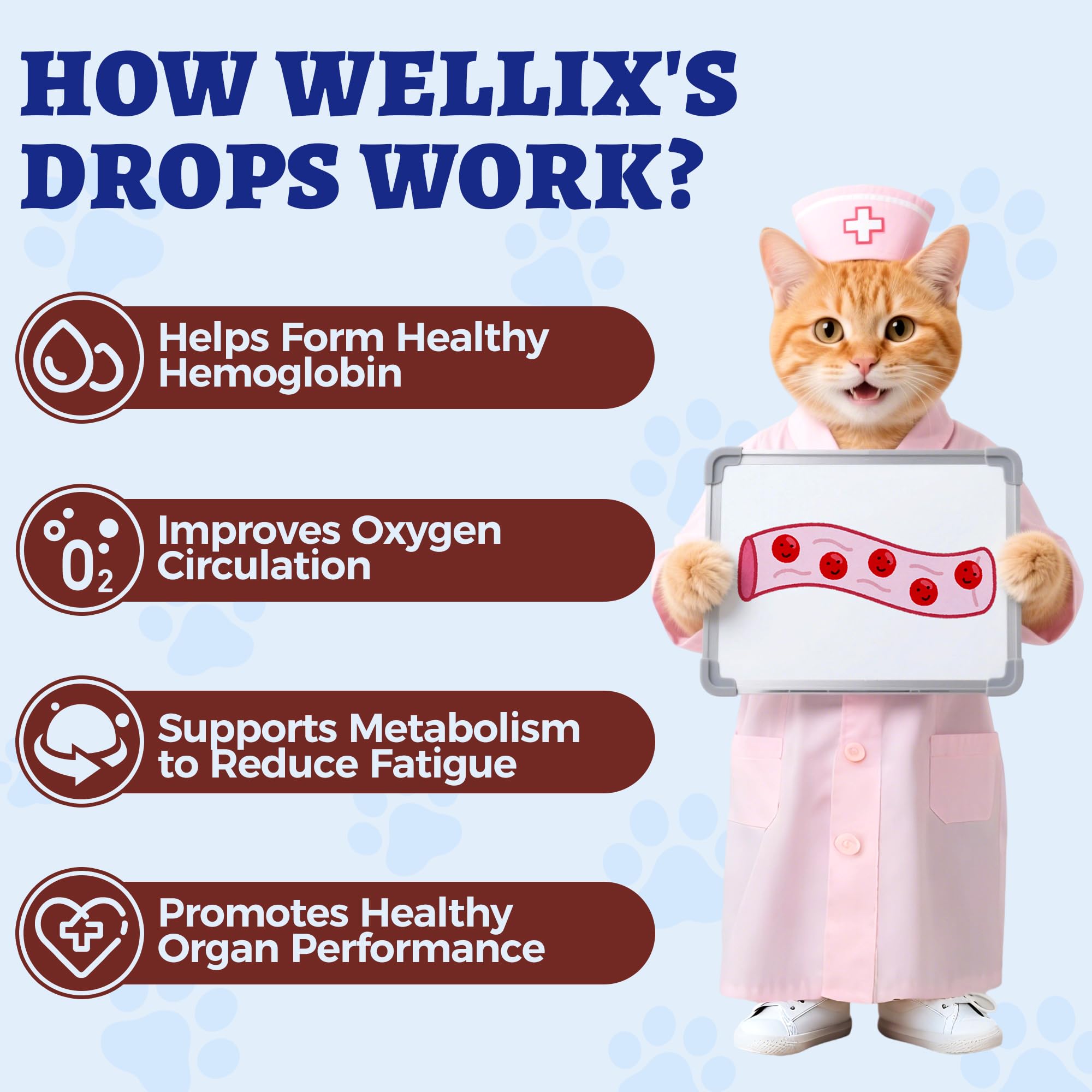 Wellix hierro líquido en agua para gatos y perros, fácil de servir, encaja en rutinas diarias.