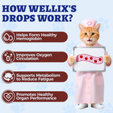 Wellix hierro líquido en agua para gatos y perros, fácil de servir, encaja en rutinas diarias.