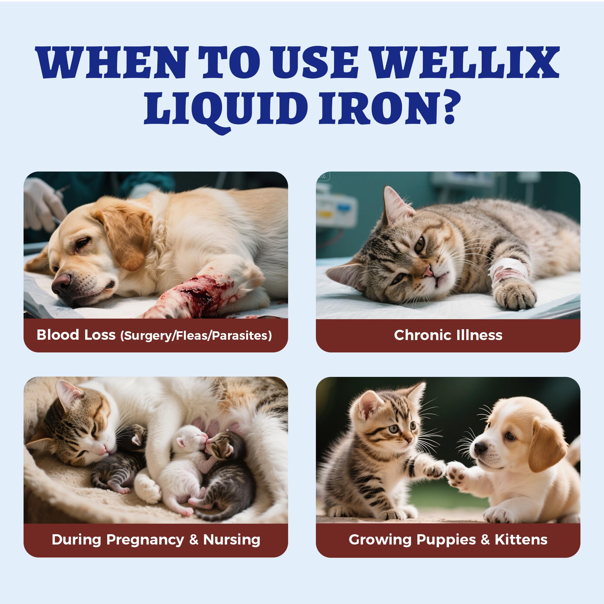 Wellix hierro líquido para gatos y perros, mezclado con comida, conveniente para dueños ocupados.