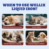 Wellix hierro líquido para gatos y perros, mezclado con comida, conveniente para dueños ocupados.