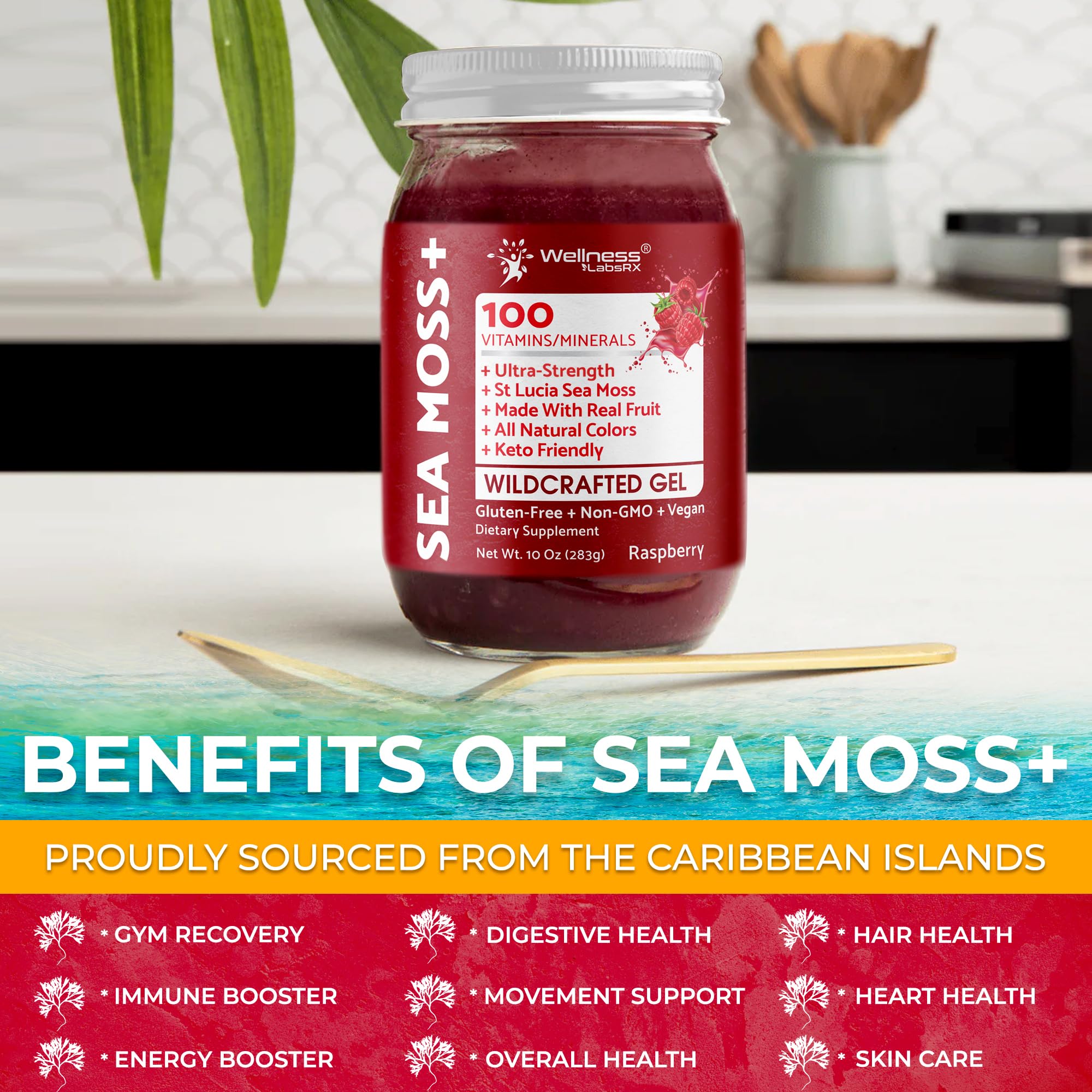 WELLNESS LABSRX dosis diaria gel musgo marino irlandes crudo energia