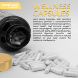 Pila de cápsulas Melena de León WELLNESS LABSRX, enfoque constante para la dosis diaria.