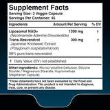 Wellness LabsRx ingredientes clave NAD+ y lípidos liposomales.