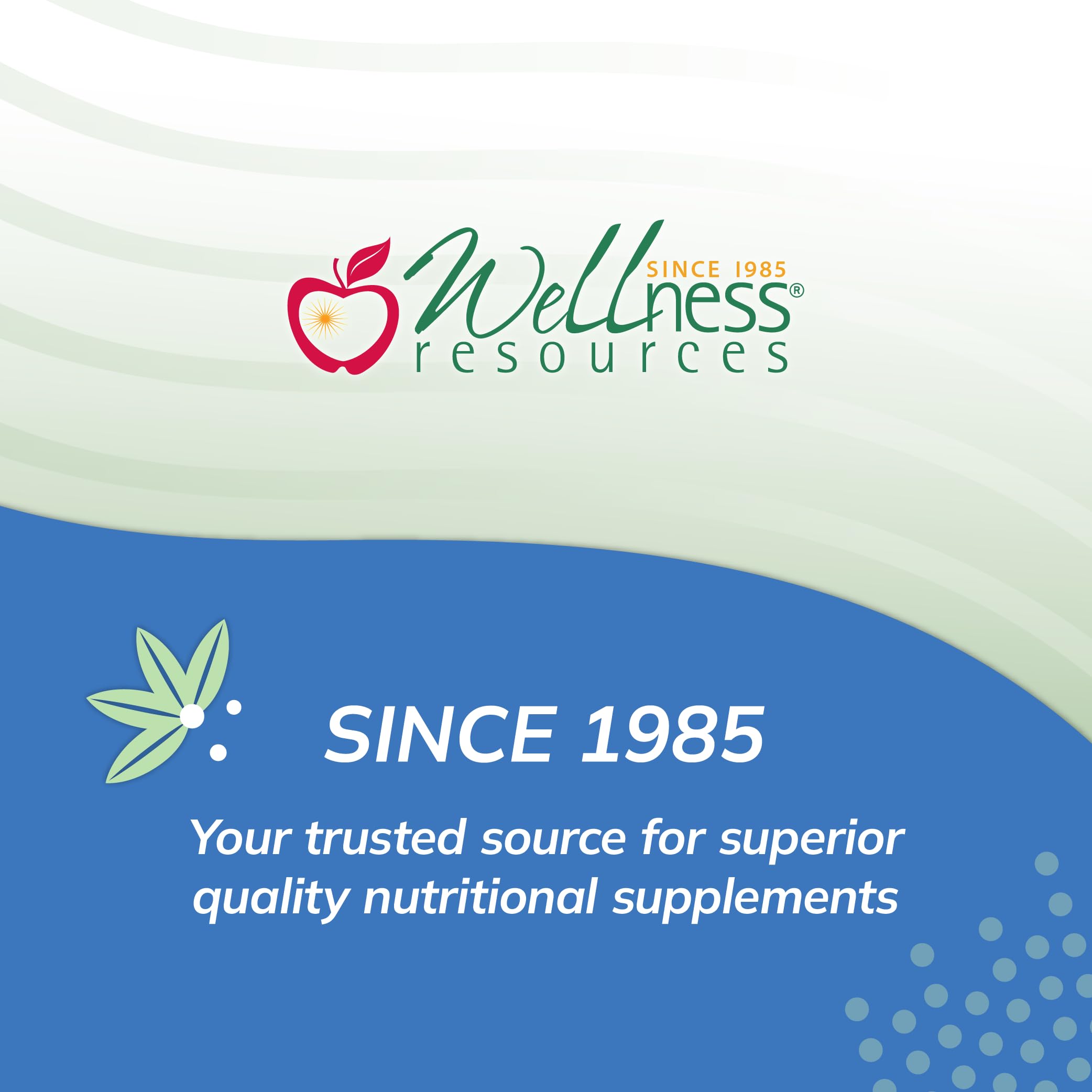 Wellness Resources Super Mini-Multi: hierro bisglicinato suave para comodidad estomacal.