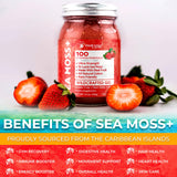 Uso versátil: añade dos cucharadas al yogur, smoothie o avena para sabor y nutrición.