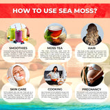 Origen caribeño: musgo marino recolectado en aguas prístinas para un perfil mineral.