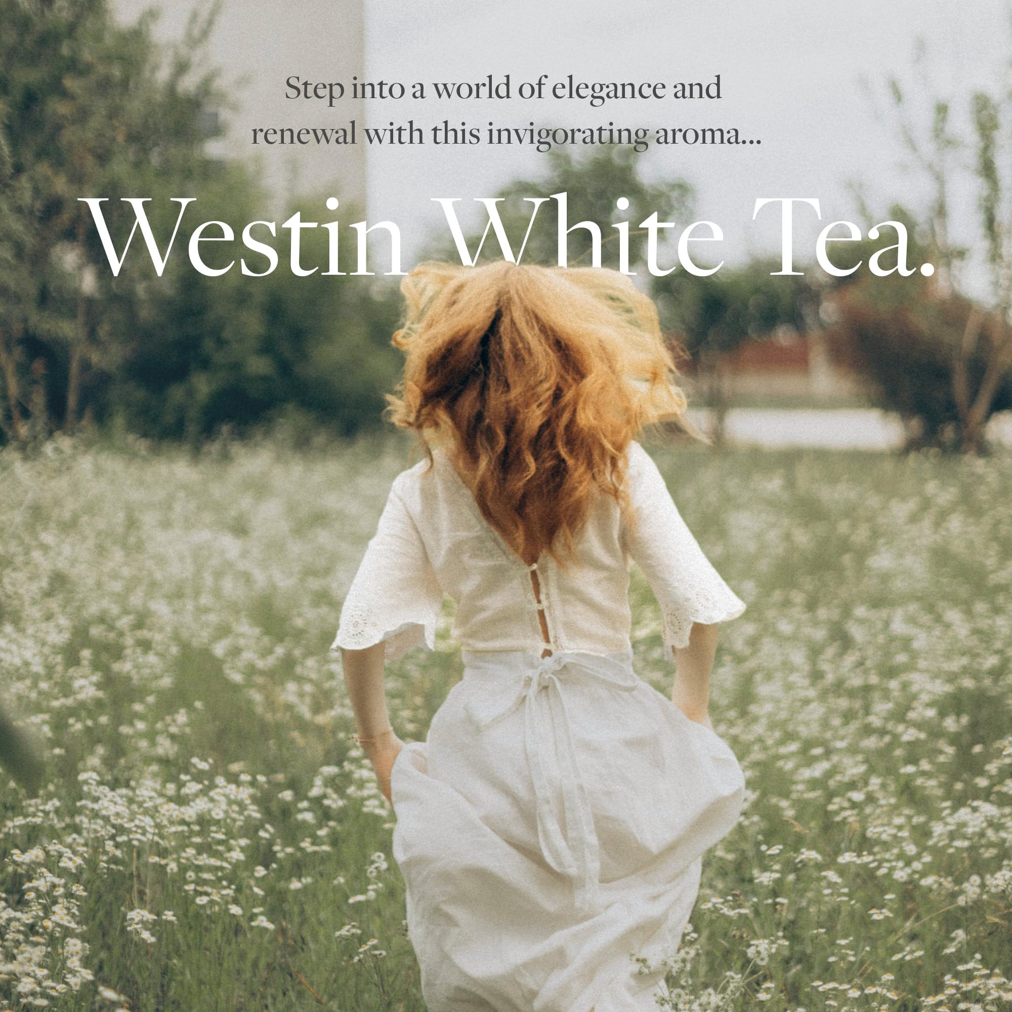 Westin White Tea notas cedro vainilla para un ambiente acogedor