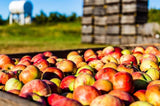 White House Detox vinagre de manzana, ingredientes naturales certificados sin OGM