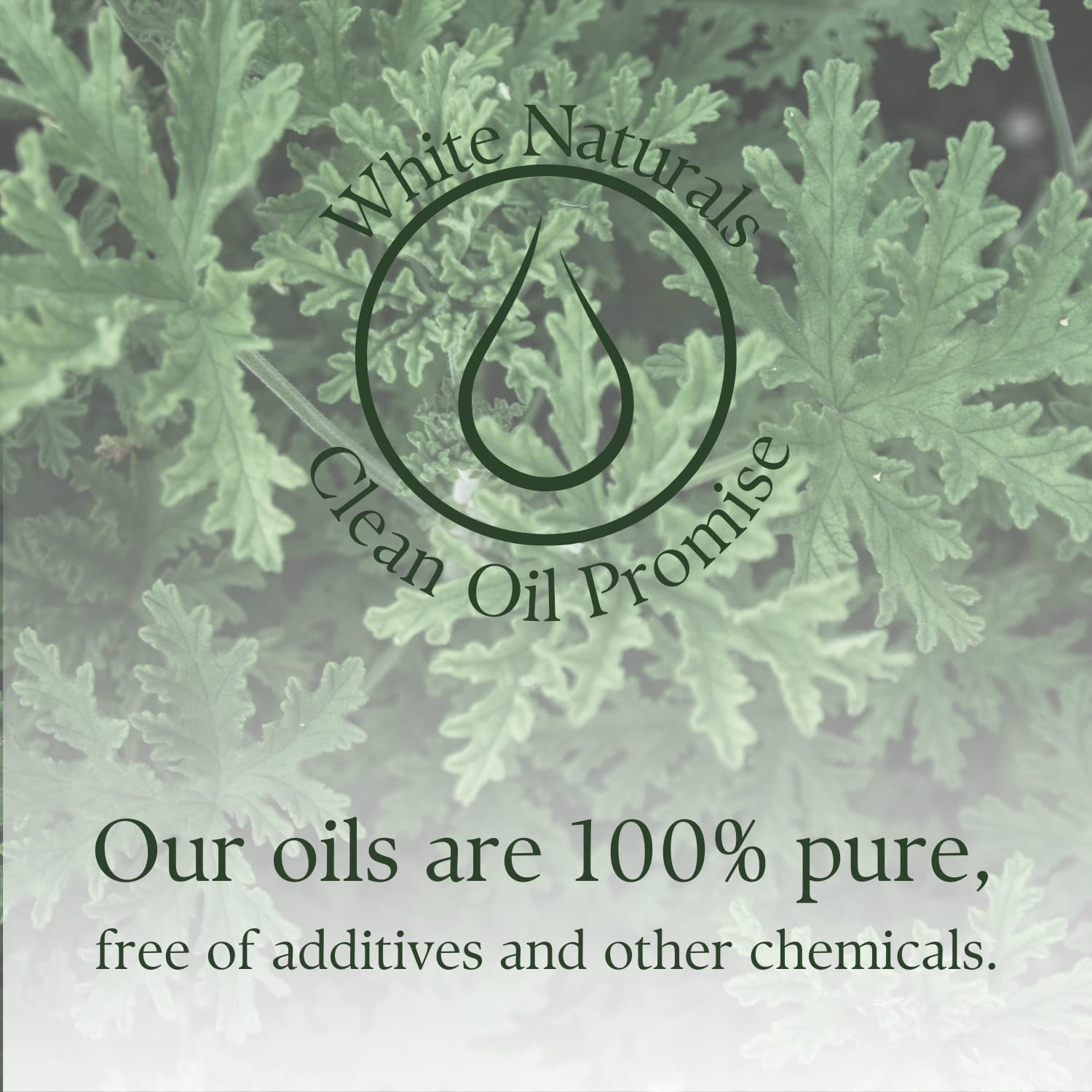 White Naturals citronella, botella ámbar que protege la fragancia y la calidad.