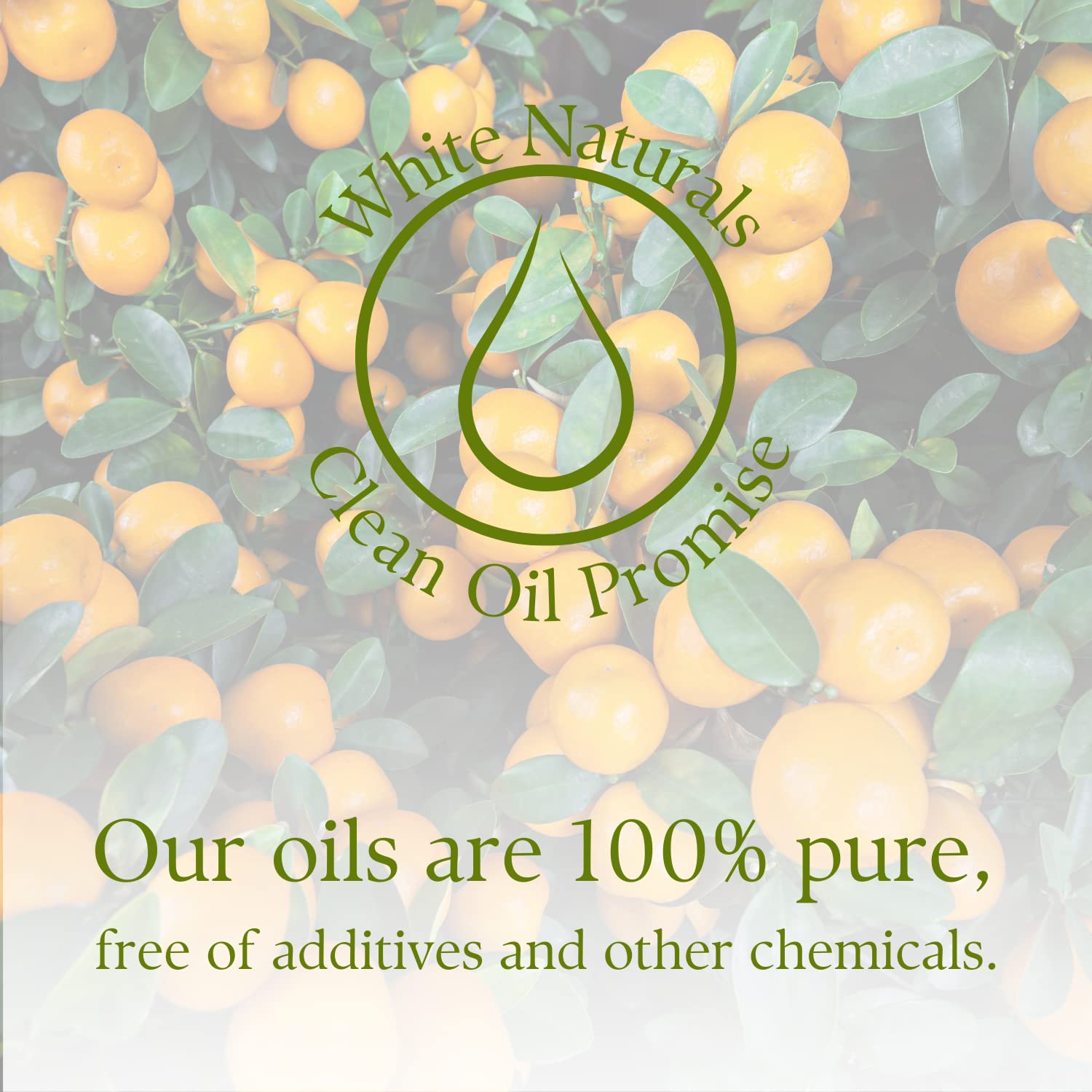 White Naturals mandarina aceite esencial para proyectos cosméticos artesanales, velas y jabones