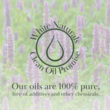 White Naturals Patchouli empaque-ambar protege la pureza y potencia