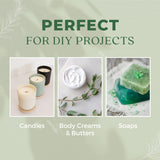 White Naturals Wintergreen, difusor de aromaterapia para un ambiente fresco y equilibrado.
