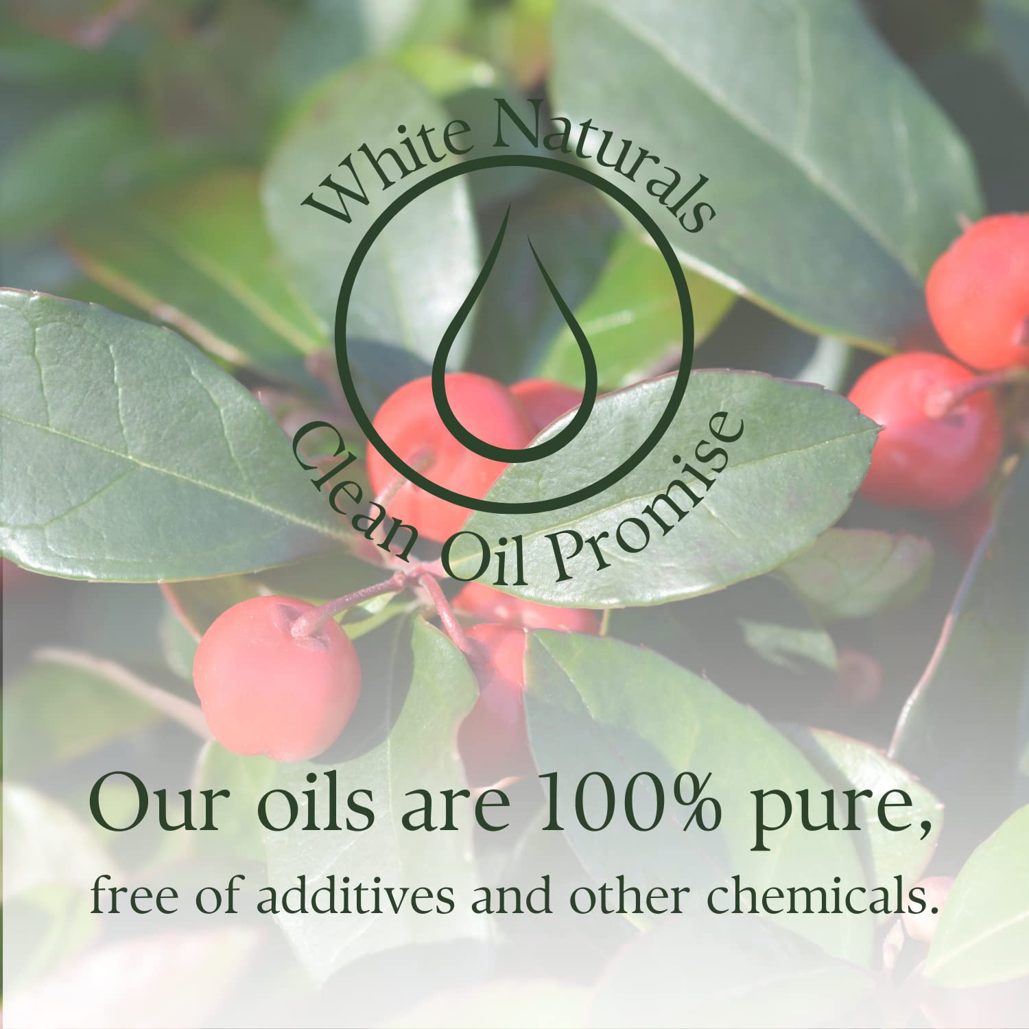 White Naturals Wintergreen, envasado protege del sol y prolonga la vida útil.