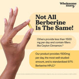 Wholesome Story Berberina dosis diaria 1500 mg: consistencia en uso.