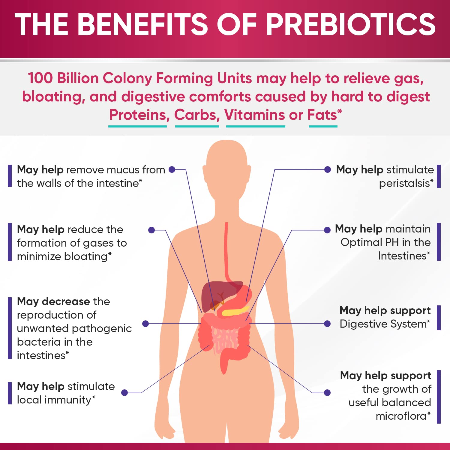 Wholesome Wellness Probiotics, extracto de arándano para apoyo urinario ocasional.