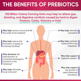 Wholesome Wellness Probiotics, extracto de arándano para apoyo urinario ocasional.