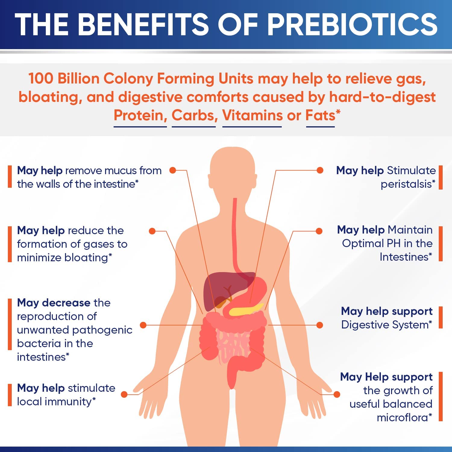 Wholesome Wellness Probioticos prebióticos orgánicos visibles