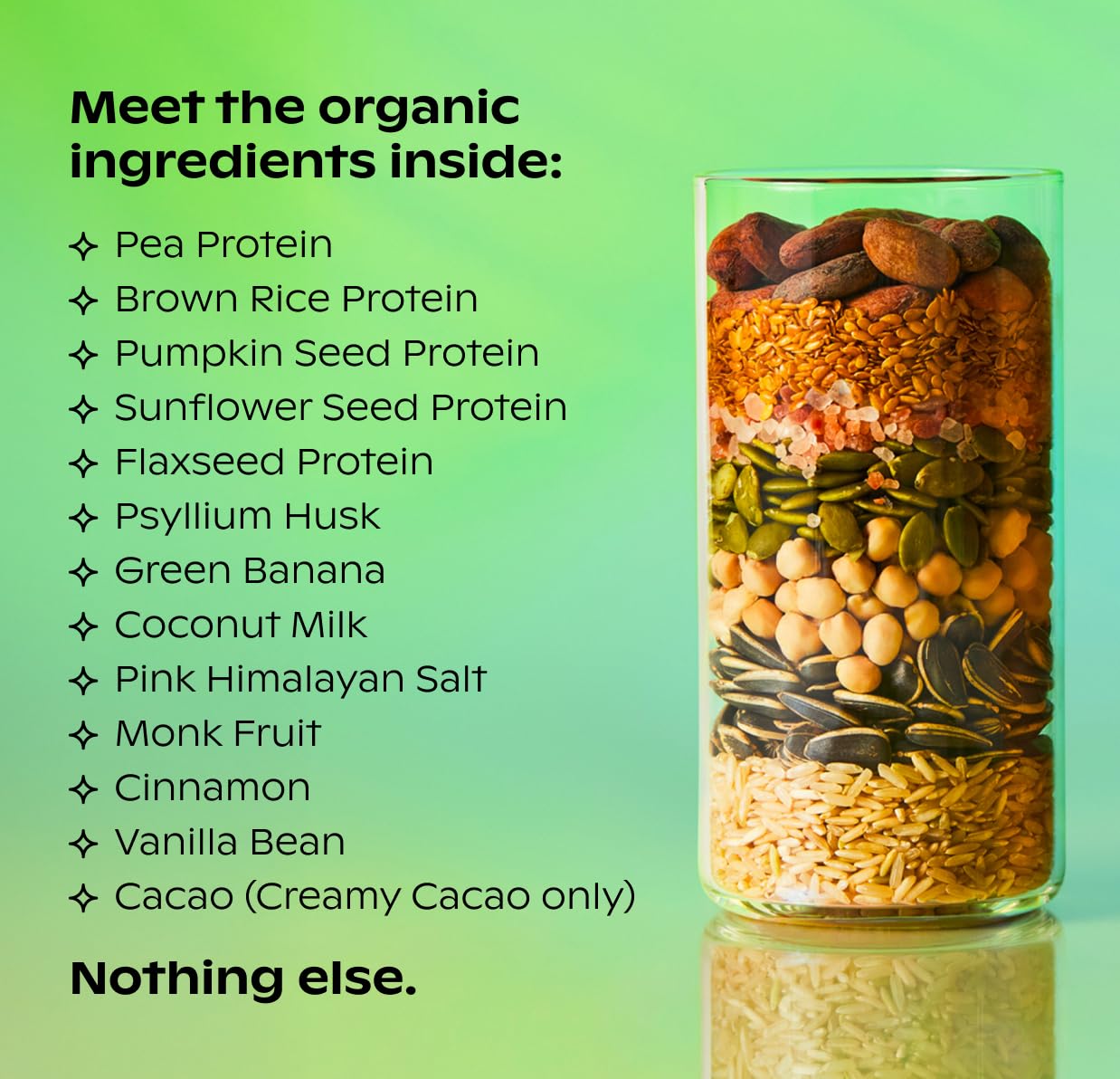 Wholier Proteína Vegetal sin aditivos para estómago sensible