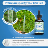 Why Not Natural, etiqueta orgánica visible, beneficios de ingredientes