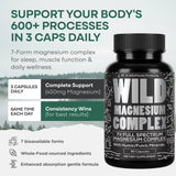 Primer plano de dosis diaria de Wild Foods para absorción