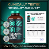 Wild Fuel aminoacidos esenciales: soporte para recuperacion muscular