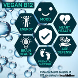 WILD FUEL IBS: probiótico vegano para apoyo digestivo diario