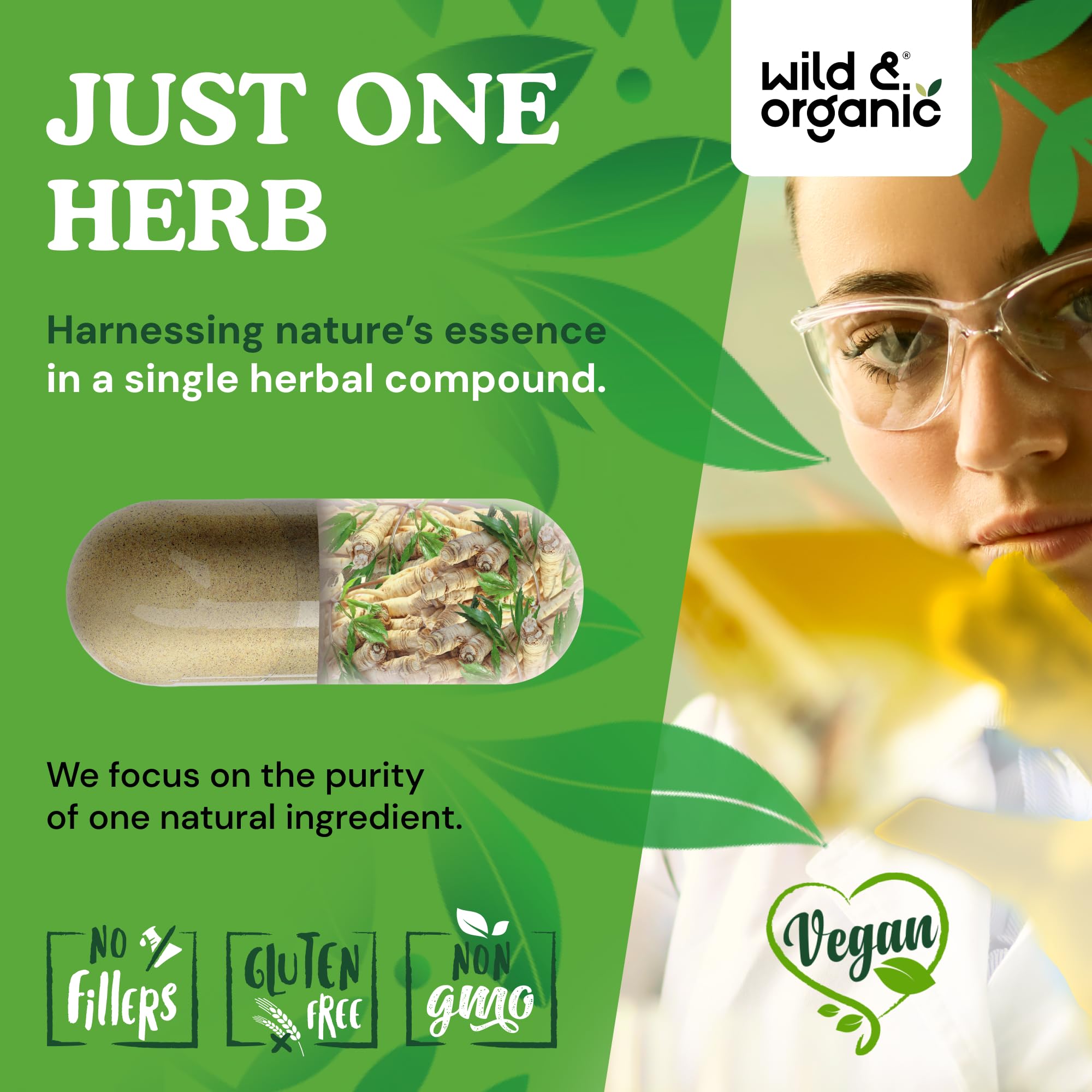 Suministro de 60 días con Wild & Organic Dong Quai para rutina diaria.
