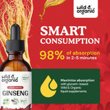 Wild & Organic ginseng rojo coreano, tintura sin alcohol para digestión suave