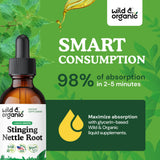 Wild & Organic Ortiga hojas frescas destacadas como ingrediente natural