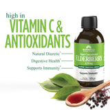 Windmill sauco negro alto contenido de antioxidantes y flavonoides