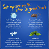 WINDSOR BOTANICALS cápsulas con ashwaganda, apoyo adaptogénico para el día.