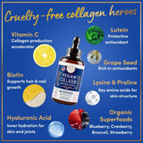 WINDSOR BOTANICALS Collagen Builder, mezcla-frutas-verduras-orgánicas: nutrientes naturales.
