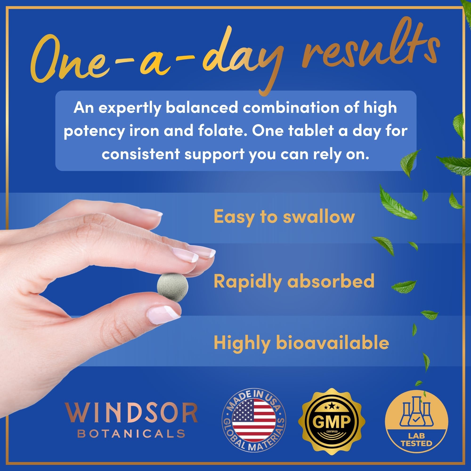 WINDSOR BOTANICALS empaque de hierro en caja GMP para seguridad.